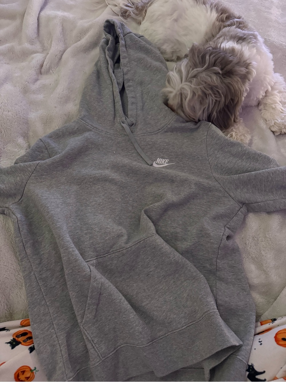Nike Women's Gray Fleece Hoodie Sweatshirt
